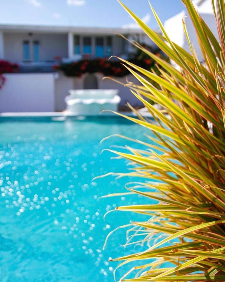 Trade Winds Hotel Dickenson Bay Exterior foto