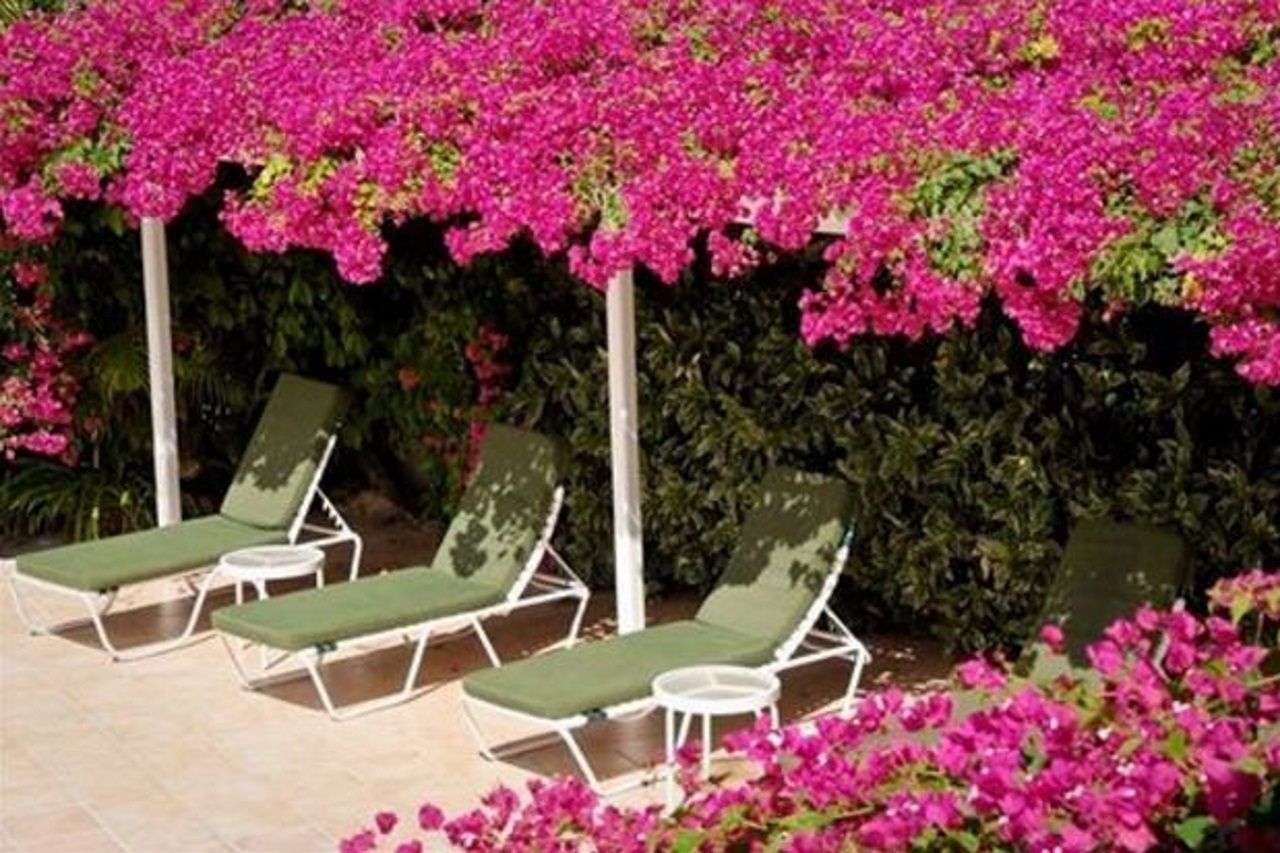 Trade Winds Hotel Dickenson Bay Exterior foto