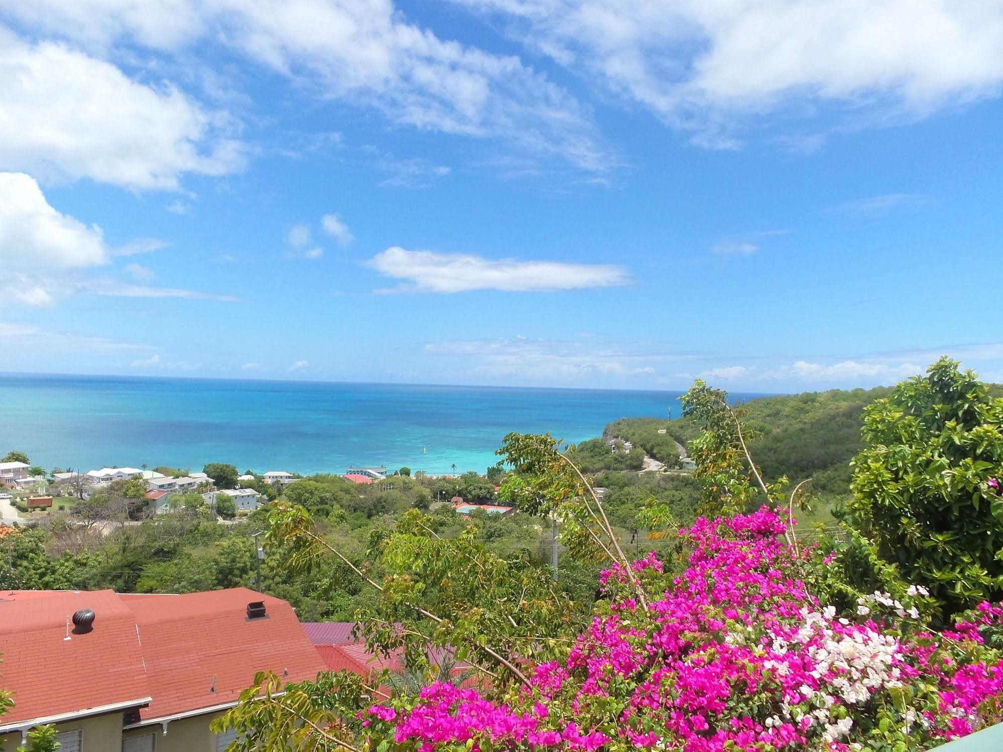 Trade Winds Hotel Dickenson Bay Exterior foto